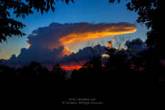 Anvil Cloud Sunset