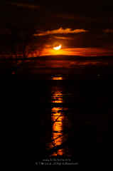 Amber Crescent Moonset