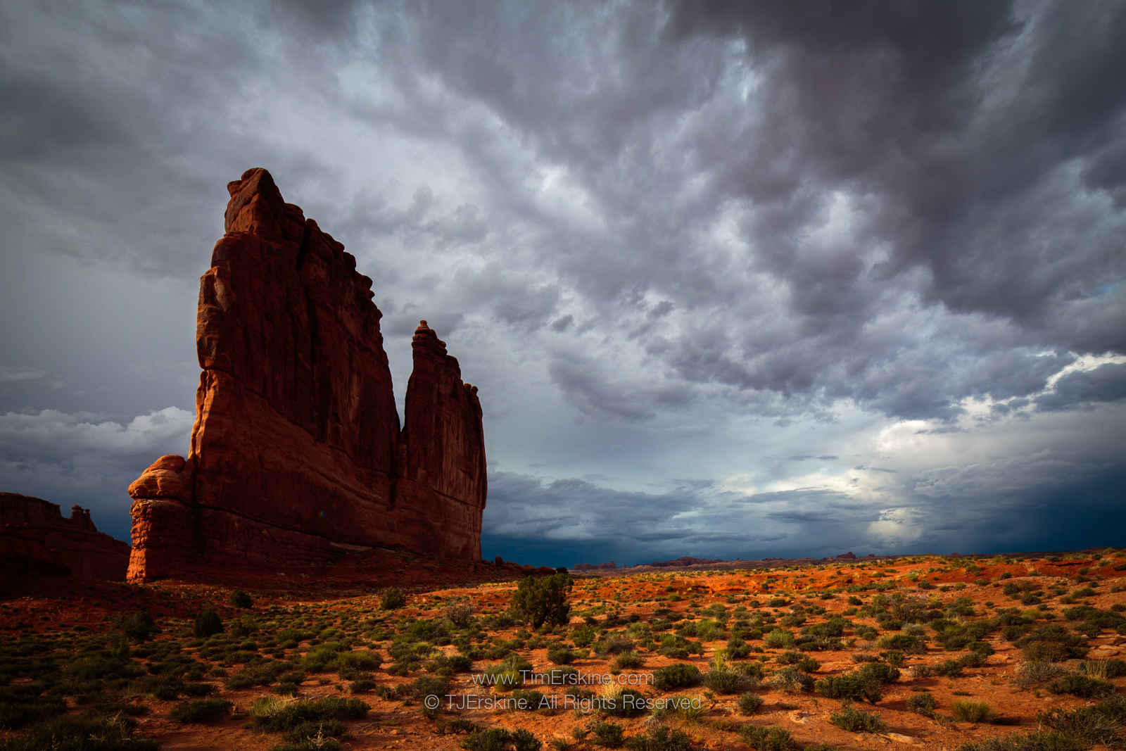 The Organ at Arches