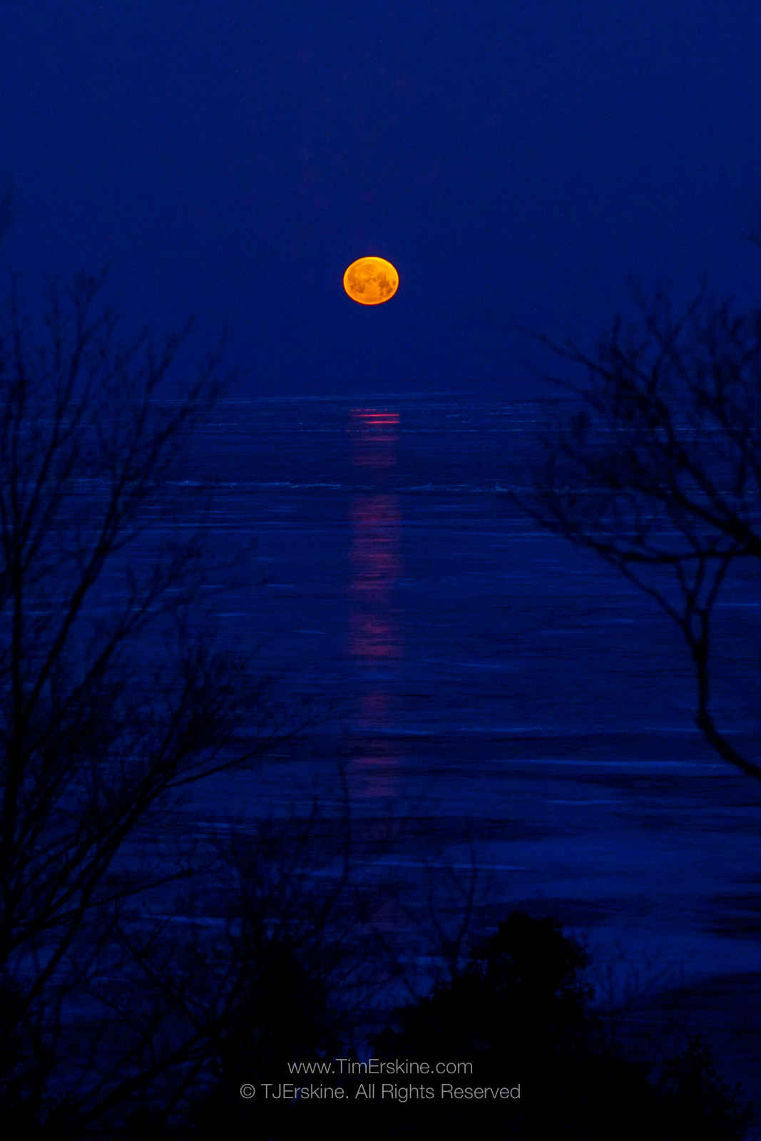 Blue Moonset Over Ice