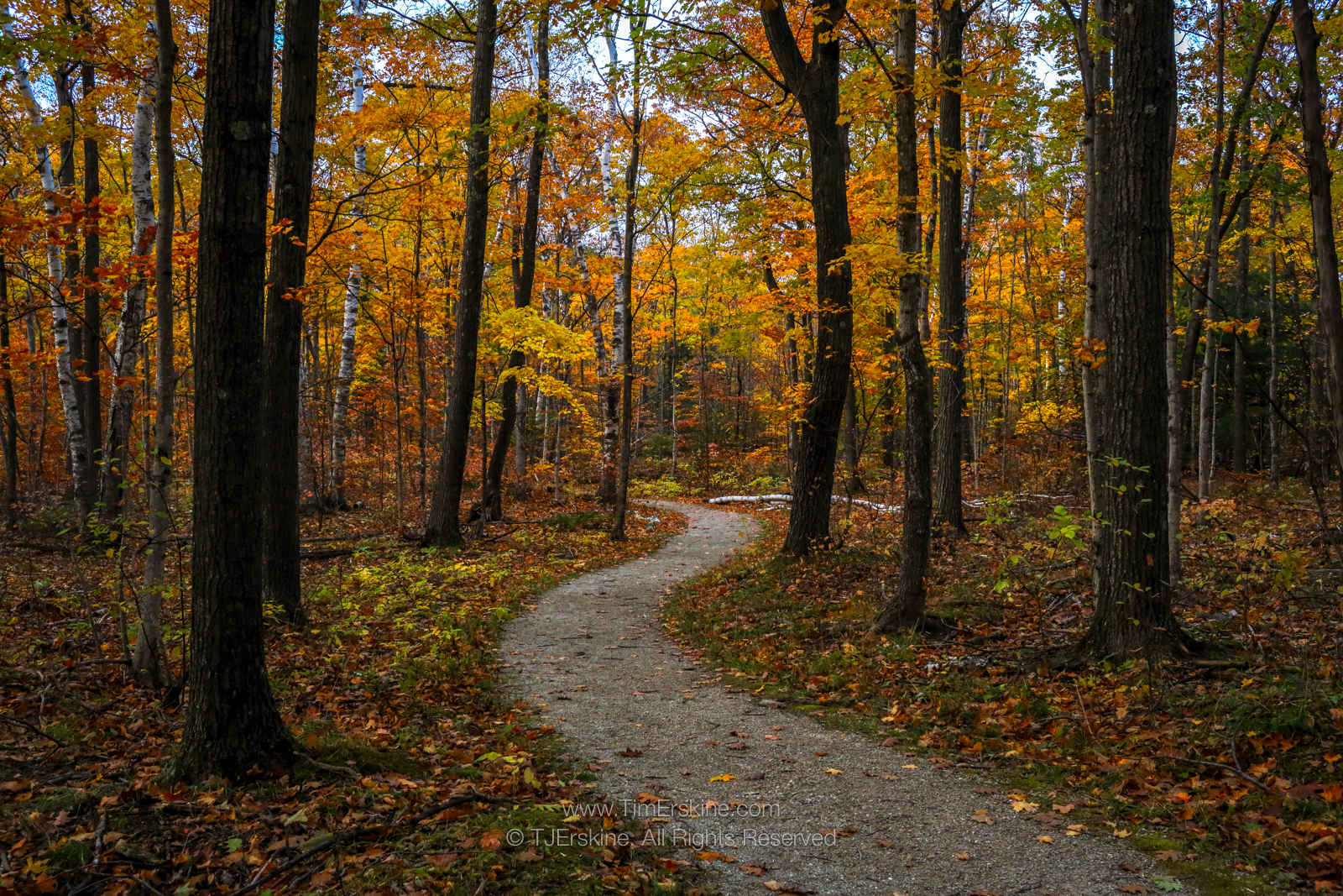 Ellison Bay Winding Fall Path