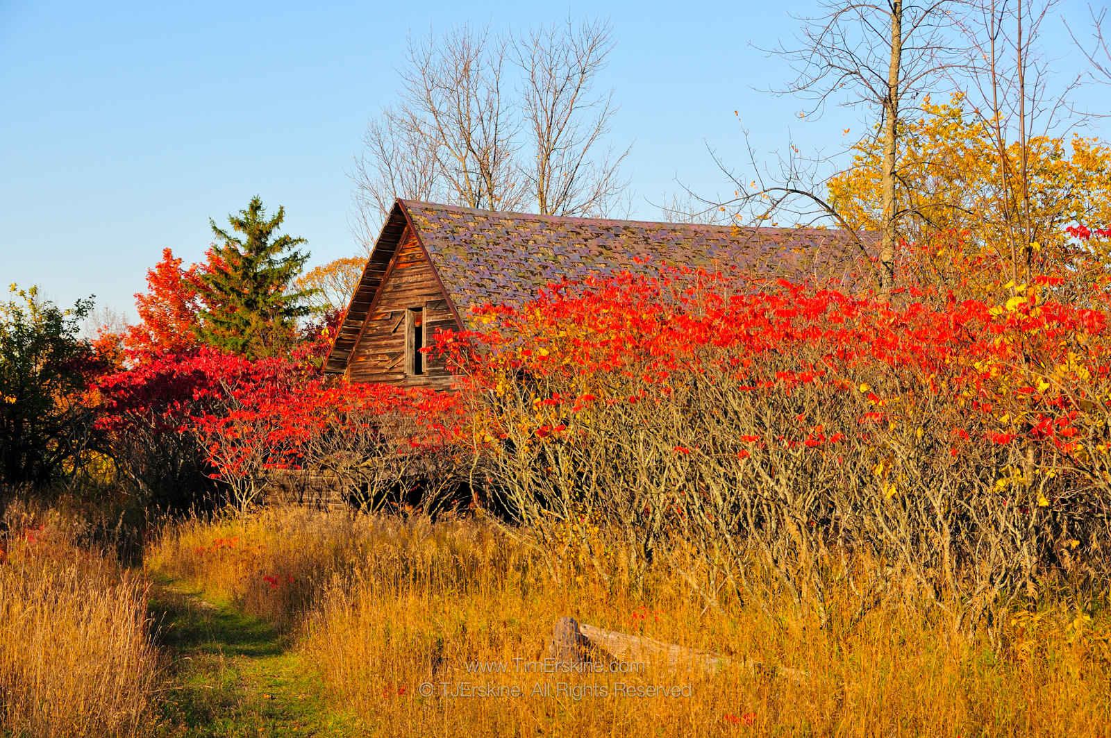 Door County Fall Barn