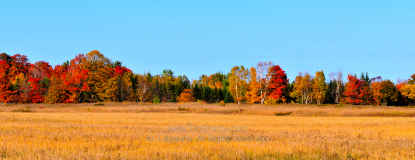 Ellison Bay Fall Panorama