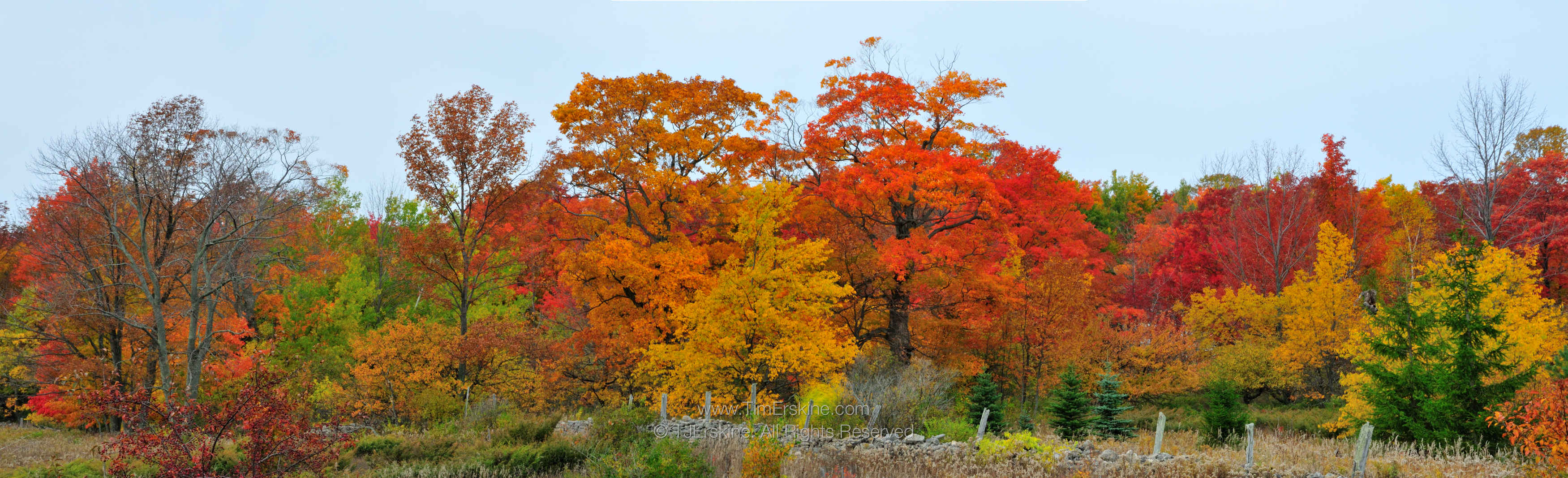 Ephraim Fall Panorama