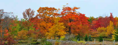 Ephraim Fall Panorama