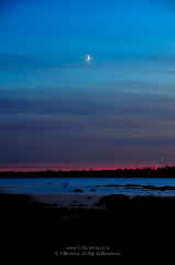 Moonlight Bay Crescent Moon