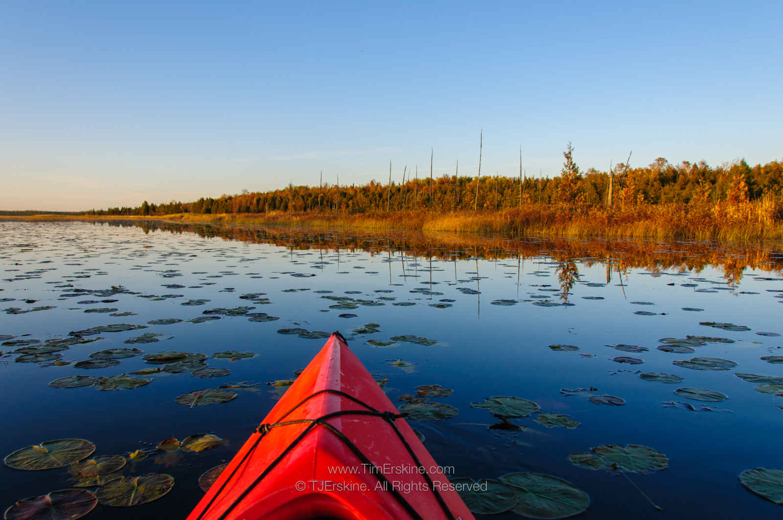 Mud Lake Kayak