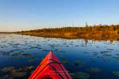 Mud Lake Kayak