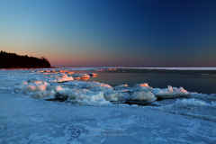 Newport Ice Swans