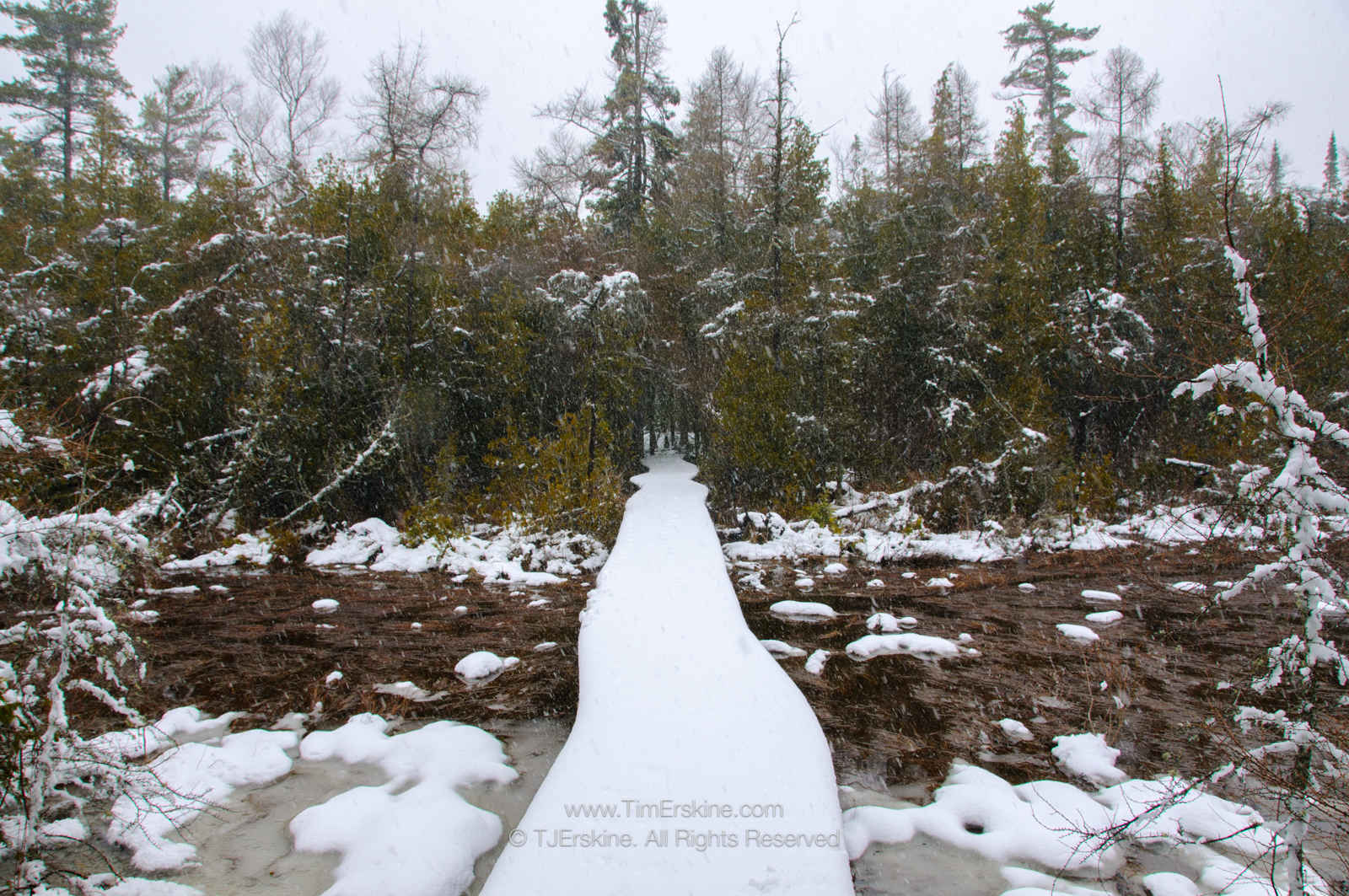 Ridges Sanctuary Winter Boardwalk