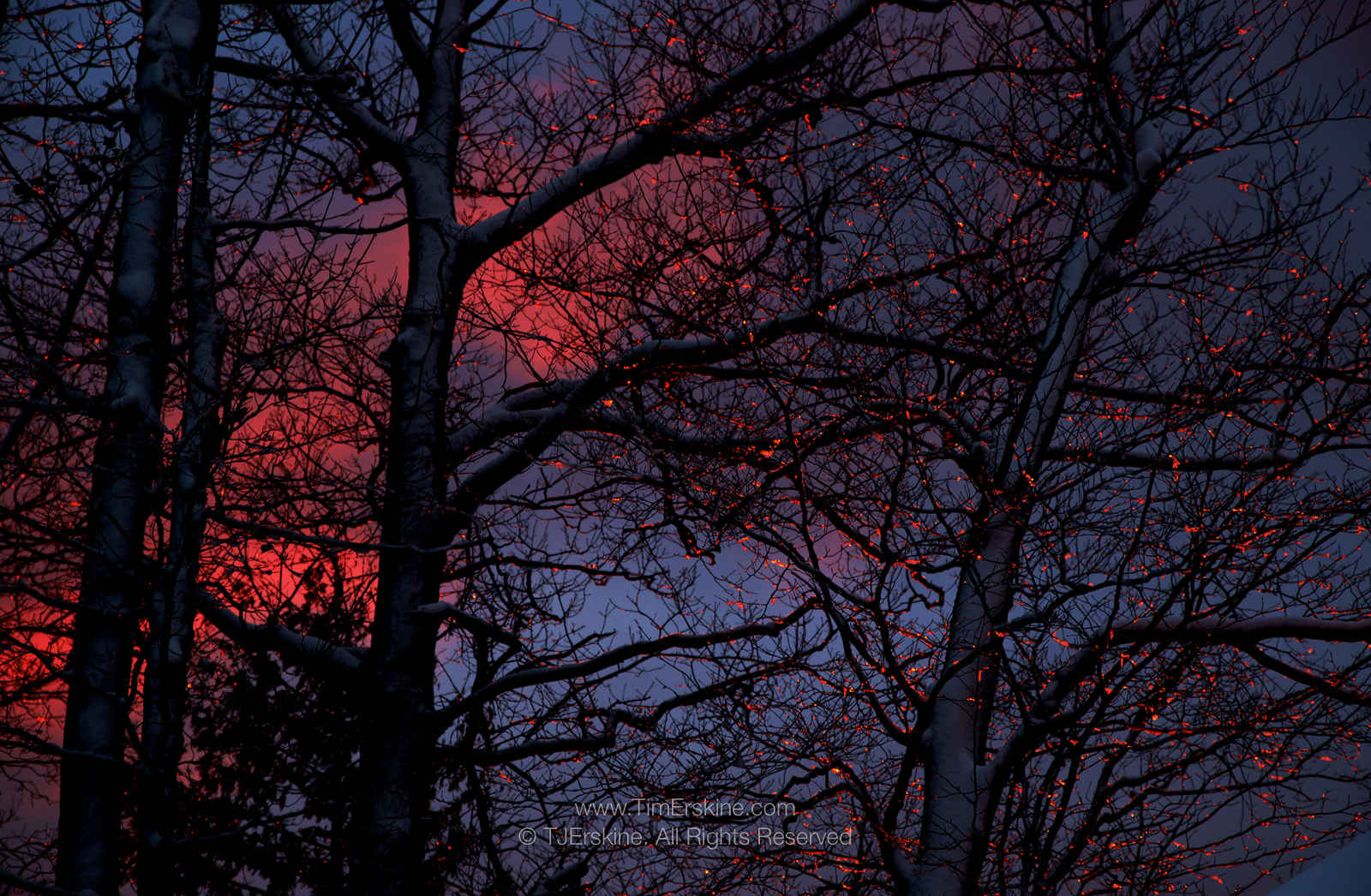 Sunset Ice Jewels