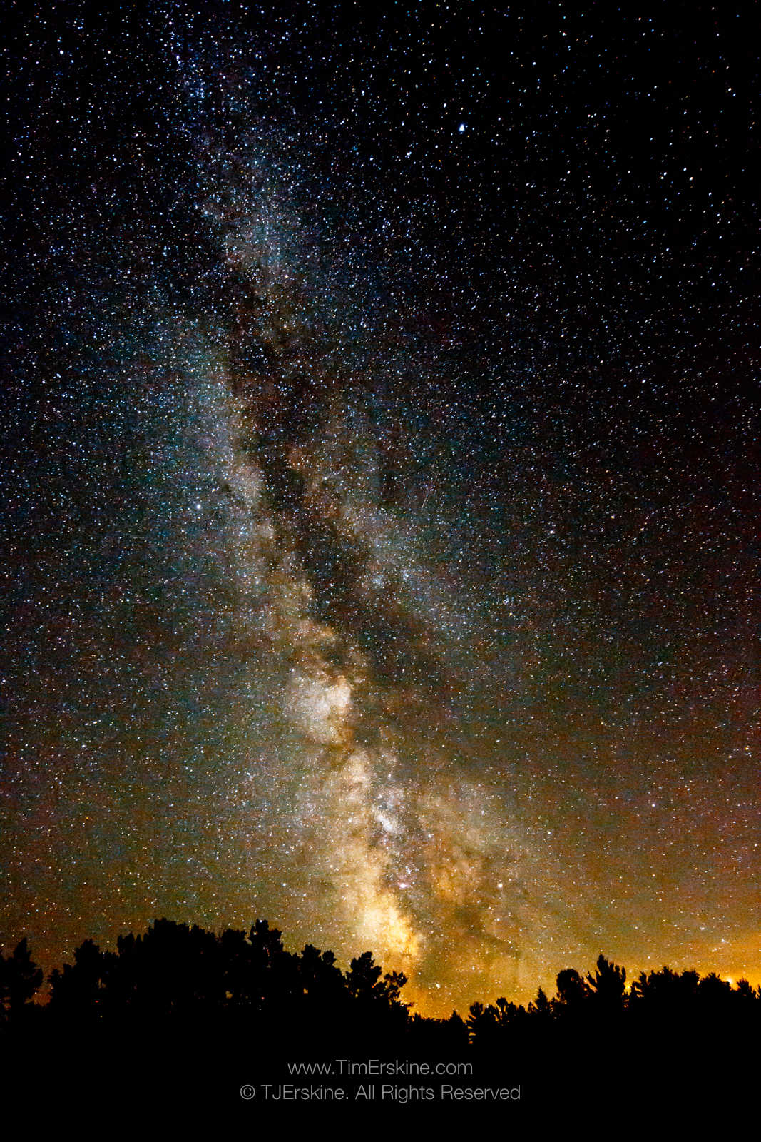 Newport Milky Way
