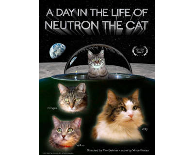 A Day in the Life of Neutron the Cat